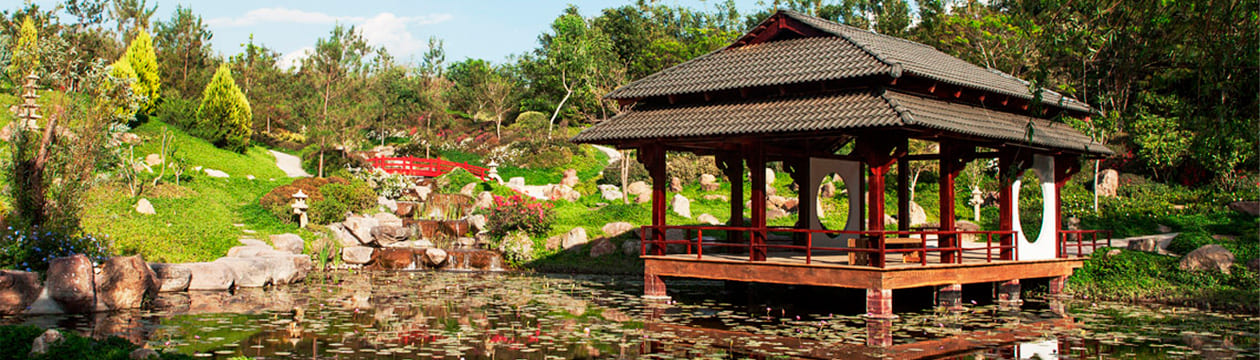Imagen principal del destino JARDINES DE MEXICO