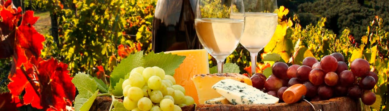 Imagen principal del destino RUTA DEL QUESO Y EL VINO
