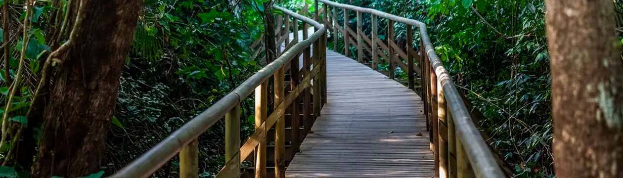 Imagen principal del destino AVENTURA EN COSTA RICA