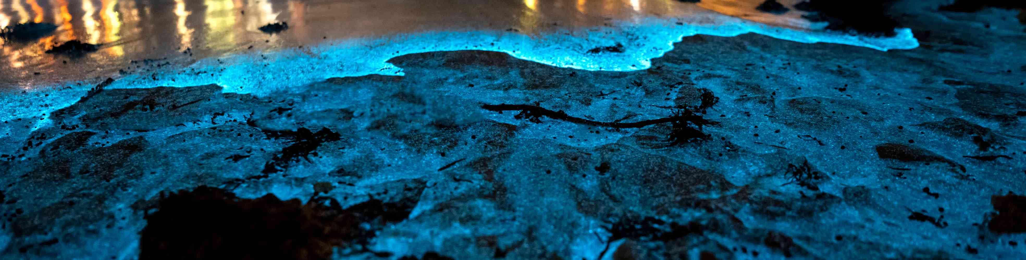 Imagen principal del destino OAXACA Y PUERTO ESCONDIDO ESPECTACULO DE BIOLUMINISCENCIA
