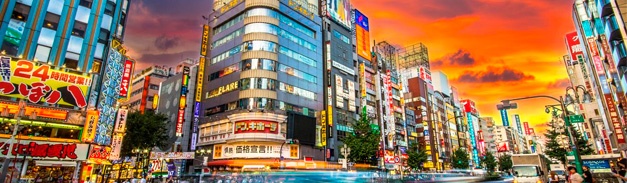 Detalle del destino JAPON AL MAXIMO 3