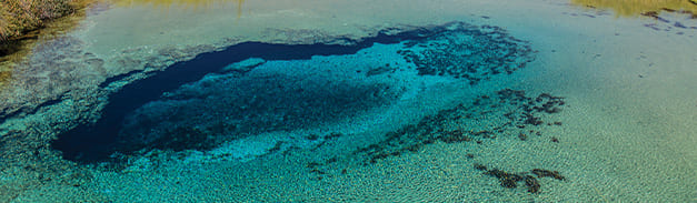 Detalle del destino CUATRO CIENEGAS Y PARRAS DE LA FUENTE 3