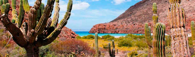 Detalle del destino ASOMBROSA BAJA CALIFORNIA CON BALLENAS 3