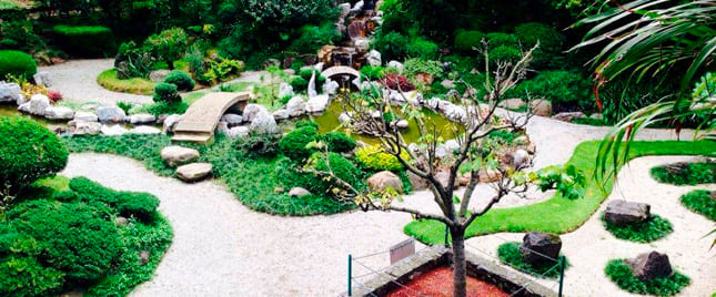 Atractivo turístico en JARDINES DE MEXICO 4