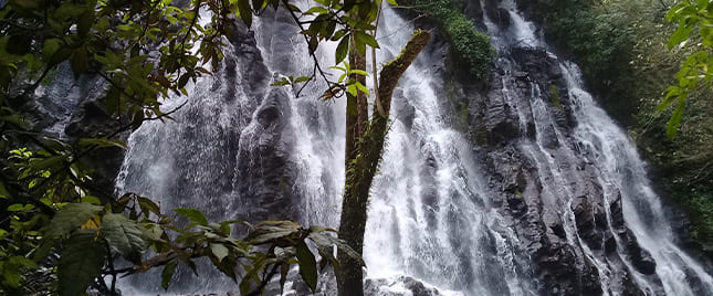 Atractivo turístico en MARIPOSA MONARCA CON VALLE DE BRAVO 4