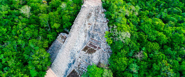 Atractivo turístico en TOUR TULUM, COBA Y CENOTE 4
