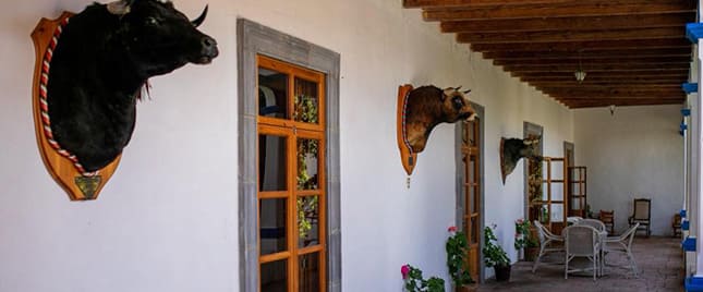 Atractivo turístico en UN RECORRIDO AL PASADO VISITANDO HERMOSAS HACIENDAS 4