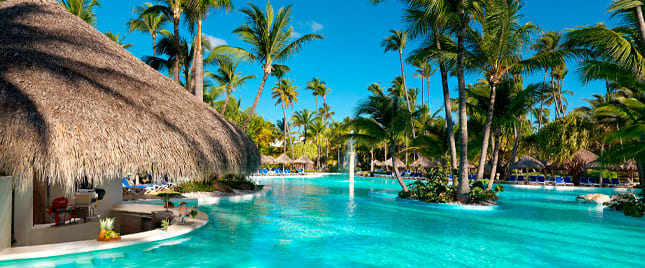 Atractivo turístico en PUNTA CANA 4
