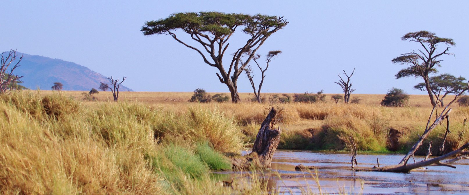 Atractivo turístico en SAFARI EN KENYA Y TANZANIA 4
