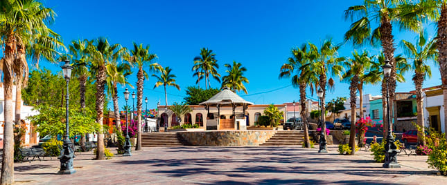 Atractivo turístico en LA PAZ, TODOS SANTOS Y LOS CABOS 4