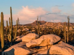 Atractivo turístico en HERMOSA PENINSULA DE BAJA CALIFORNIA 4