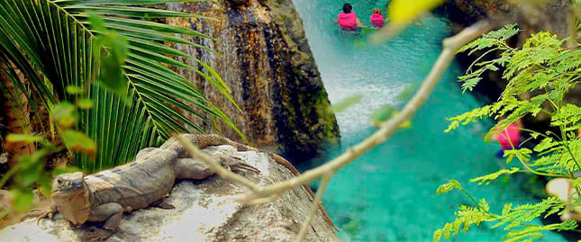 Vista panorámica de TOUR XCARET PLUS 2
