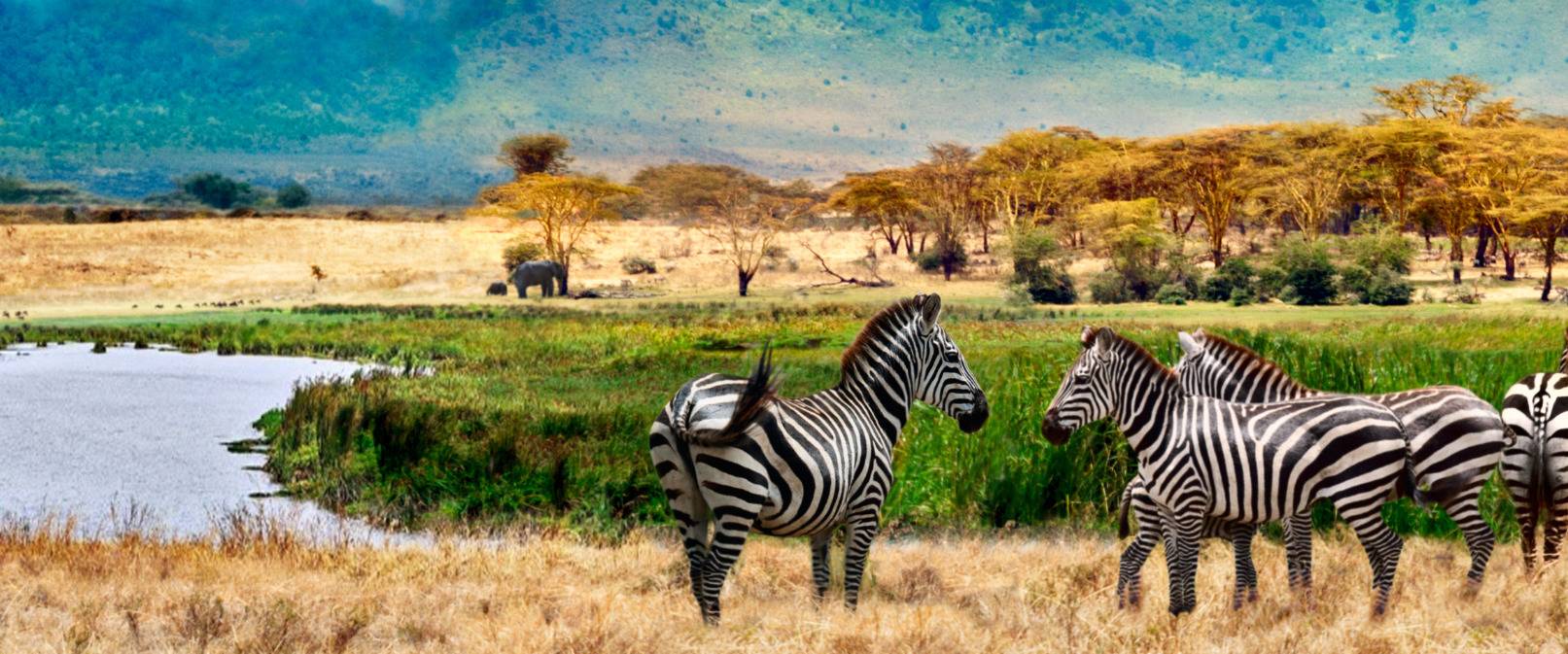 Vista panorámica de SAFARI EN KENYA Y TANZANIA 2