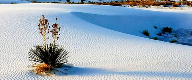 Vista panorámica de CUATRO CIENEGAS Y PARRAS DE LA FUENTE 2