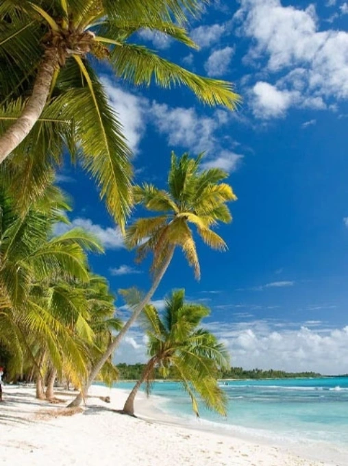 Imagen del destino REPUBLICA DOMINICANA
