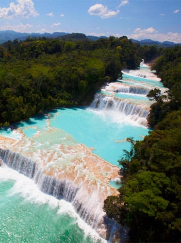 Chiapas Magnifica