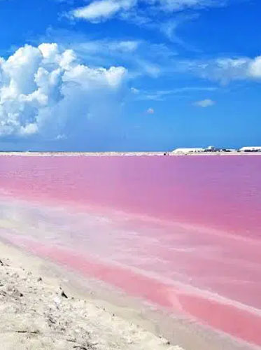TESOROS DEL SURESTE MEXICANO