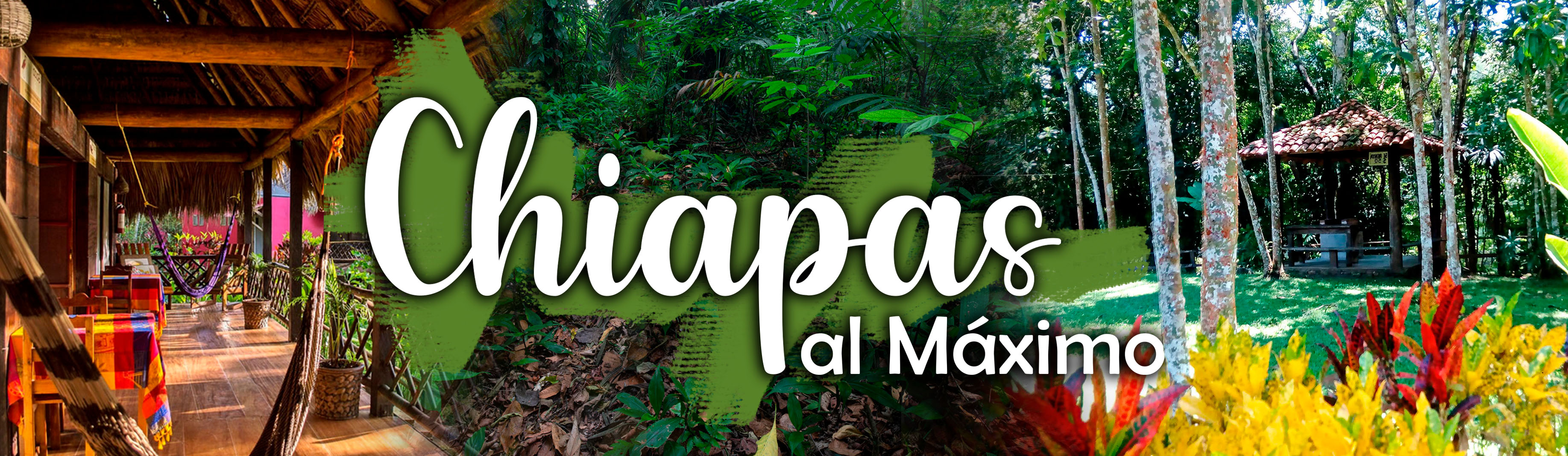 Chiapas Al Máximo